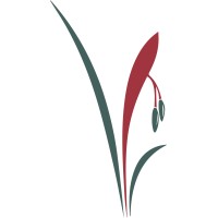 IBITI | Projeto Logo
