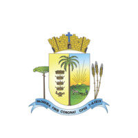 Prefeitura Municipal de Palmeira Logo