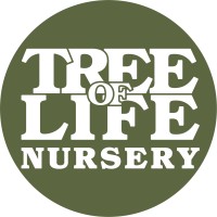 Tree of Life Nursery Logo