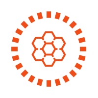 The World Bee Project CIC Logo