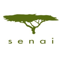 Senai Global Logo