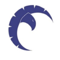 Cobalt Security Services, Inc Logo