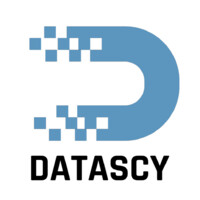 Datascy Logo