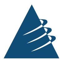 Risk Management Advisors Logo