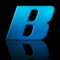 Bluize Logo