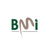 Business Model Innovations, LLC Logo