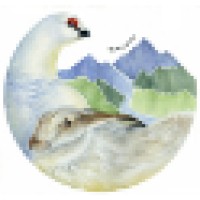 Alba Ecology Ltd. Logo