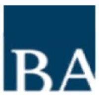 Bridge Advisory Logo