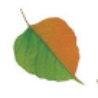 Mystikal Holidays Logo