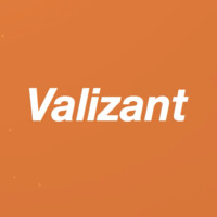 Valizant, Inc. Logo