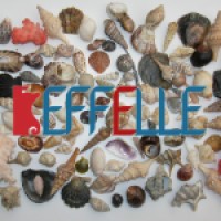 Effelle Pesca Logo