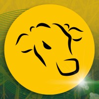 Agrosalles Logo