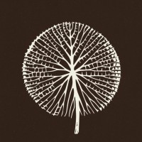 United for a Living Amazon Logo