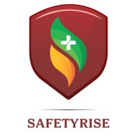 SafetyRise India Logo