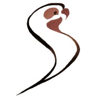 Translating Parrot Logo