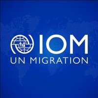 IOM Research Logo