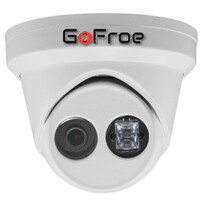 GoFroe Logo