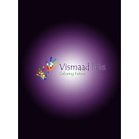Vismaad Labs Logo