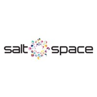 Salt Space Logo