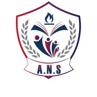 American National School Logo