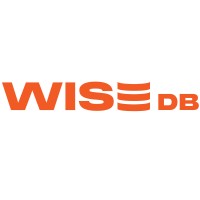 Wise Database Solutions Logo