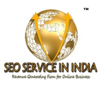 SEO Service in India - Digital Marketing Firm India Logo
