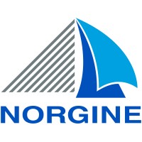 Norgine UK & Ireland Logo