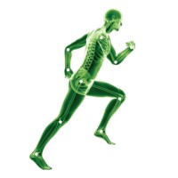 Tri-Valley Orthopedic Specialists Inc. Logo