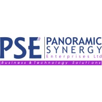 PSE Ltd Logo