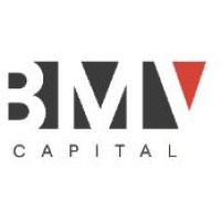 BMV Capital LLC Logo