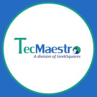 TecMaestro IT Solutions Pvt. Ltd. Logo