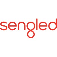 浙江生辉照明有限公司 Logo