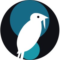 PICO Informativo Logo