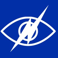 Envisionyst LLC Logo