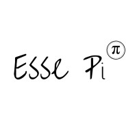 Esse Pi Pte Ltd Logo