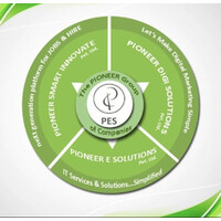 Pioneer E Solutions Pvt. Ltd. Logo