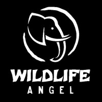 Wildlife Angel Logo