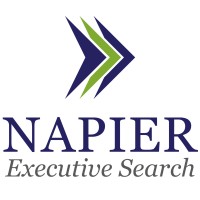 Napier Executive Search Logo
