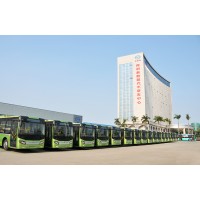 Shenzhen Wuzhoulong Motors Company Logo