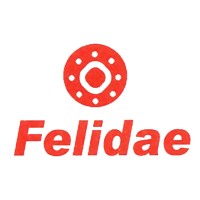 Felidae Infosec Pvt Ltd Logo