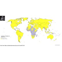 united nations security council earth Logo