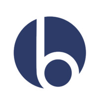 Bluestone Network Solutions Logo