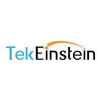 Tekeinstein Software Solutions Logo
