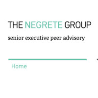 THE NEGRETE GROUP Logo