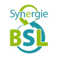 Synergie Bas-St-Laurent Logo