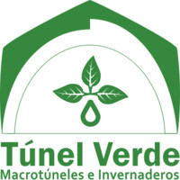 Túnel Verde Logo