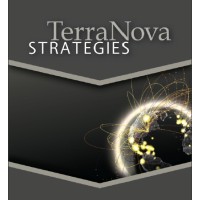 TerraNova Strategies (TNS) Logo