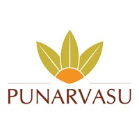 Punarvasu Financial Services Private Limited Logo