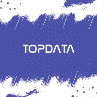 TopData Global IT Solutions Logo