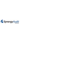 Synergy Audit Group Logo